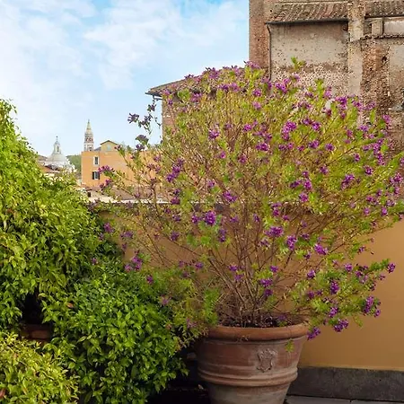 Mate Collection Mia, Colosseum 4*